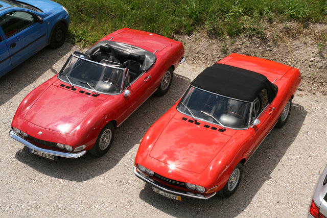 Dino x 2
