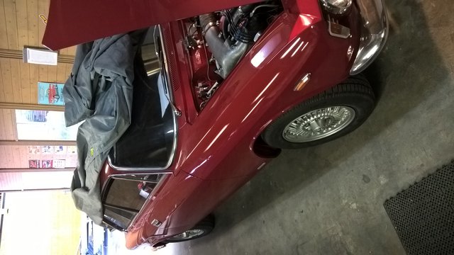 WP_20170522_14_58_56_Pro.jpg