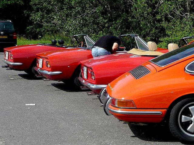 5 schöne (?) Hinterteile in den Vogesen