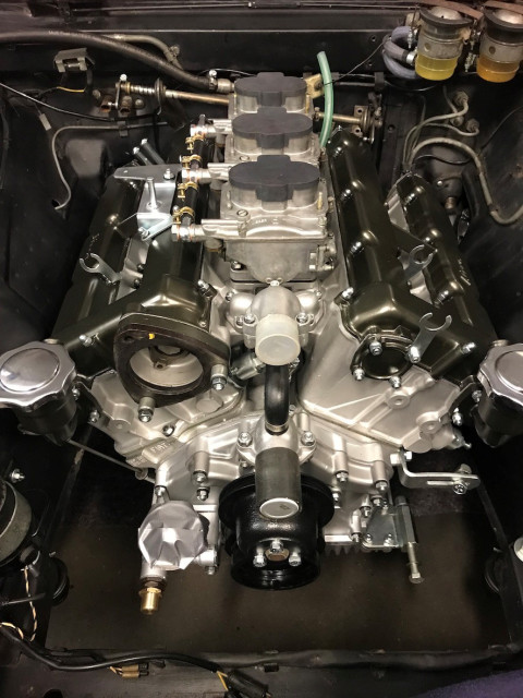 Finale Platzierung.jpg