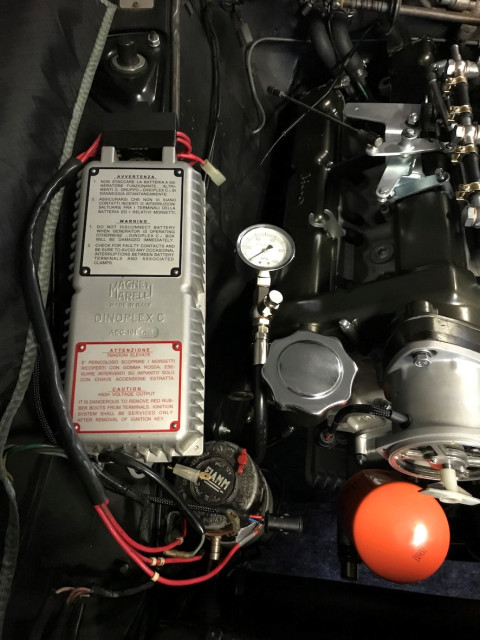 Dinoplex eingebaut.jpg