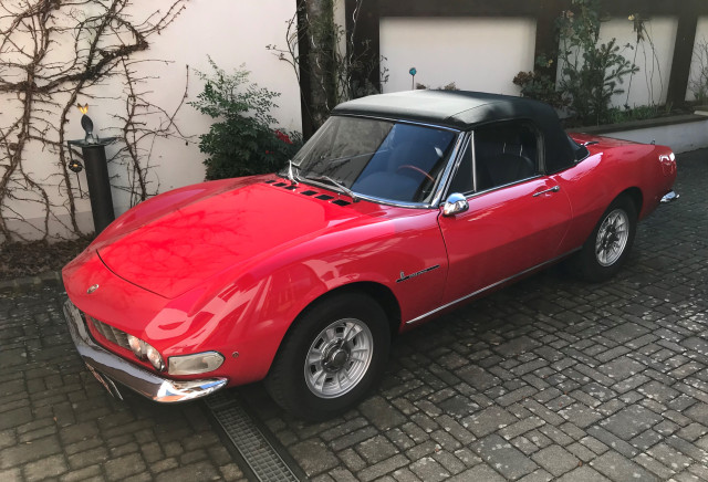 Dino wieder zusammen.jpg