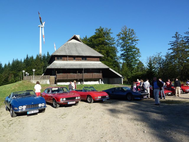 Dinos an der Holzschlägermatte