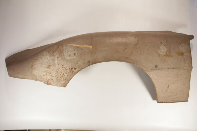 Dino Kotflügel links.jpg